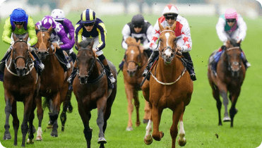 horse-race-betting